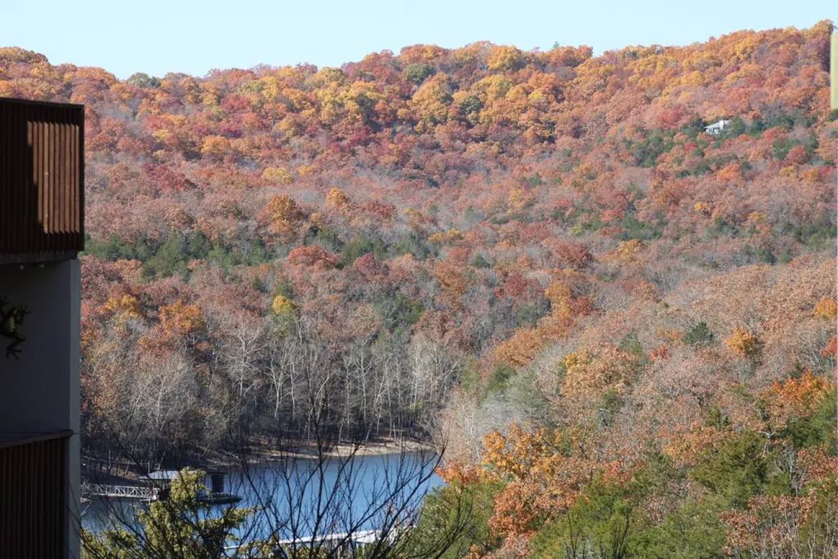 A panoramic view of Table Rock Lake surrounded by vibrant autumn foliage and distant rolling hills. The calm water mirrors the fiery reds, oranges, and golds of the trees, capturing the essence of fall. The sky hints at sunset, casting a warm glow over the entire scene.